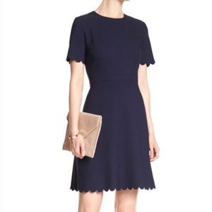 Banana republic fit& flare dress